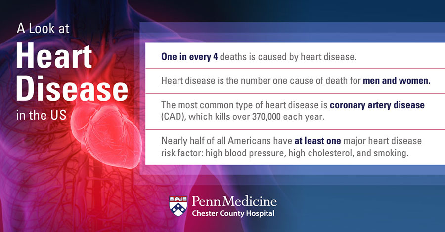 a_look_at_heart_disease